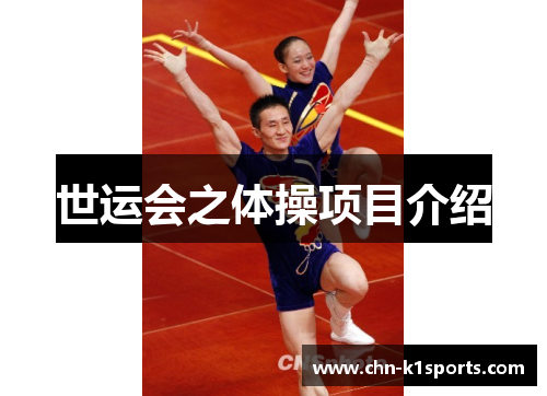 世运会之体操项目介绍